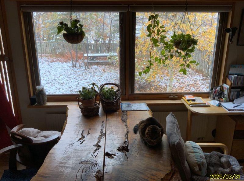 House in Ikoigaoka, Biei – photo 19 of 32 – Biei, Daisetsuzan Foothills, Hokkaido, Japan