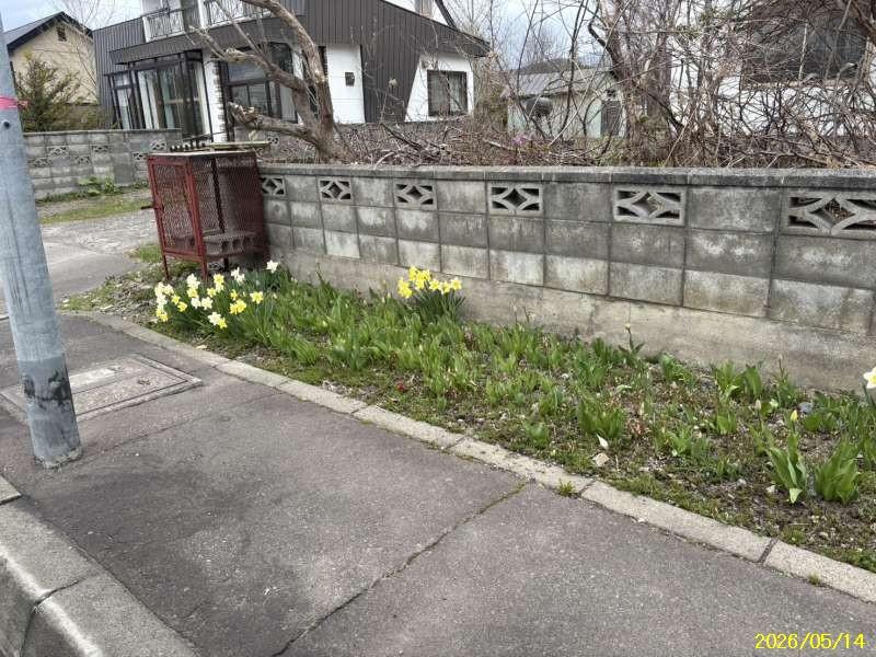 House in Shinkōchō, Kamikawa – photo 14 of 18 – Kamikawa, Hokkaido, Hokkaido, Japan