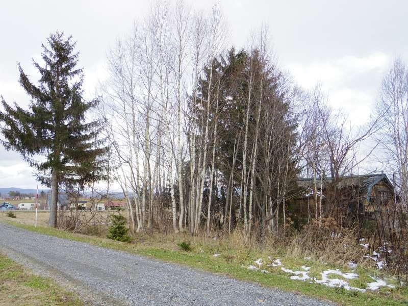 Land in 17 Sen, Takasu – photo 3 of 16 – Takasu, Asahikawa, Hokkaido, Japan