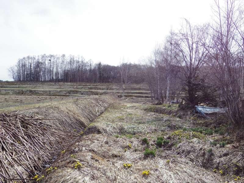 Land in 17 Sen, Takasu – photo 13 of 16 – Takasu, Asahikawa, Hokkaido, Japan