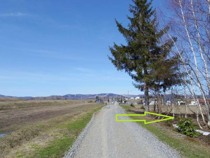 Land in 17 Sen, Takasu – photo 14 of 16 – Takasu, Asahikawa, Hokkaido, Japan