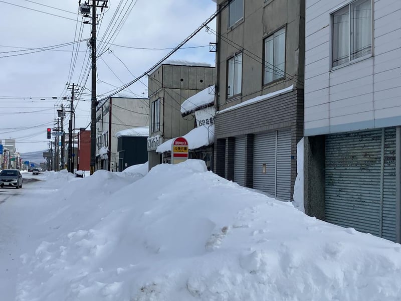 Land in 4 Jo, Fukagawa – photo 12 of 20 – Fukagawa, Asahikawa, Hokkaido, Japan
