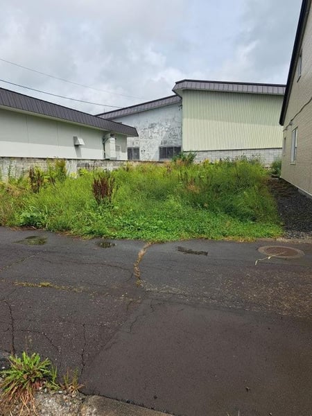 Land in 4 Johigashi, Toma – photo 4 of 4 – Toma, Daisetsuzan Foothills, Hokkaido, Japan