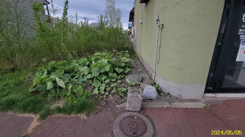 Land in 4 Jominami, Toma – photo 14 of 15 – Toma, Daisetsuzan Foothills, Hokkaido, Japan