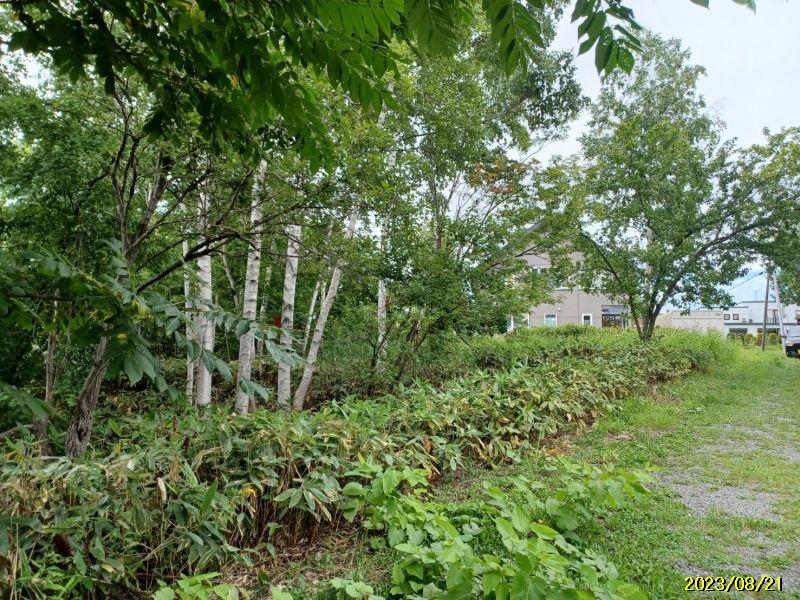 Land in Asahigaoka, Asahikawa – Asahikawa, Asahikawa, Hokkaido, Japan