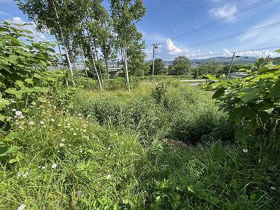 Land in Asahigaoka, Asahikawa – photo 9 of 20 – Asahikawa, Asahikawa, Hokkaido, Japan