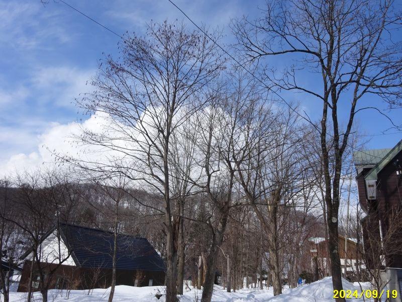Land in Asahigaoka, Asahikawa – photo 6 of 7 – Asahikawa, Asahikawa, Hokkaido, Japan