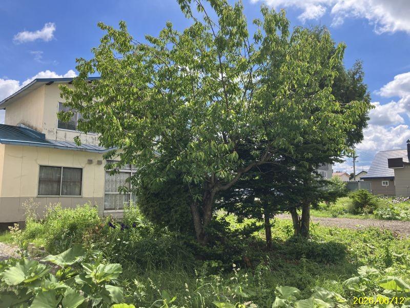 Land in Asahimachi, Biei – photo 6 of 8 – Biei, Daisetsuzan Foothills, Hokkaido, Japan