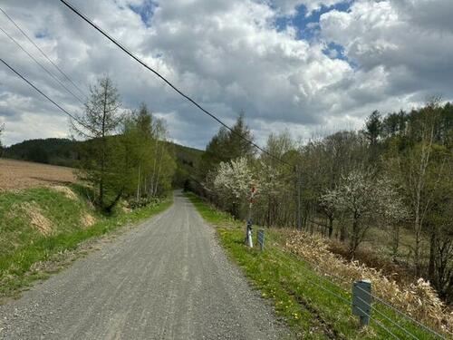 Land in Biei – photo 6 of 16 – Biei, Daisetsuzan Foothills, Hokkaido, Japan