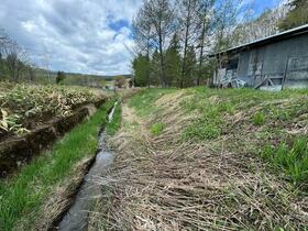 Land in Biei – photo 11 of 16 – Biei, Daisetsuzan Foothills, Hokkaido, Japan