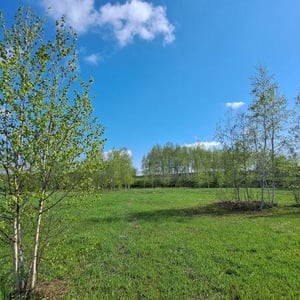 Land in Bieigenya, Biei