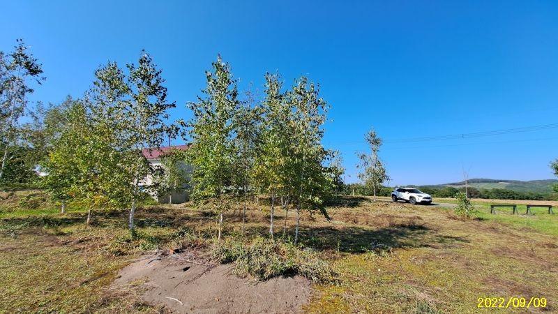 Land in Bieigenya, Biei – photo 4 of 28 – Biei, Daisetsuzan Foothills, Hokkaido, Japan