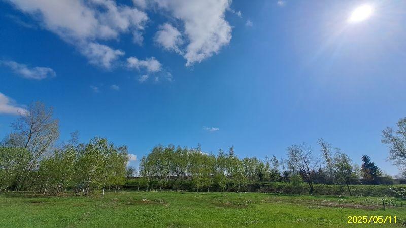 Land in Bieigenya, Biei – photo 6 of 28 – Biei, Daisetsuzan Foothills, Hokkaido, Japan