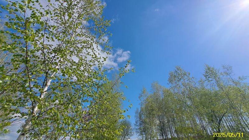 Land in Bieigenya, Biei – photo 7 of 28 – Biei, Daisetsuzan Foothills, Hokkaido, Japan