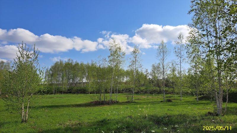 Land in Bieigenya, Biei – photo 8 of 28 – Biei, Daisetsuzan Foothills, Hokkaido, Japan