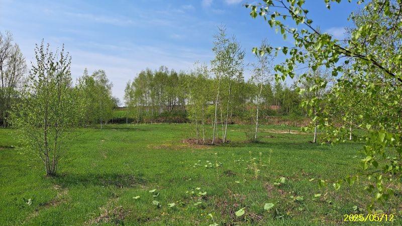 Land in Bieigenya, Biei – photo 10 of 28 – Biei, Daisetsuzan Foothills, Hokkaido, Japan