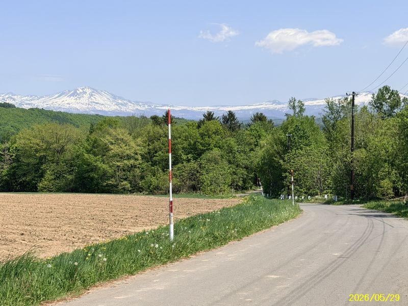 Land in Bieigenya, Biei – photo 15 of 28 – Biei, Daisetsuzan Foothills, Hokkaido, Japan