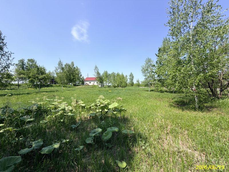 Land in Bieigenya, Biei – photo 19 of 28 – Biei, Daisetsuzan Foothills, Hokkaido, Japan