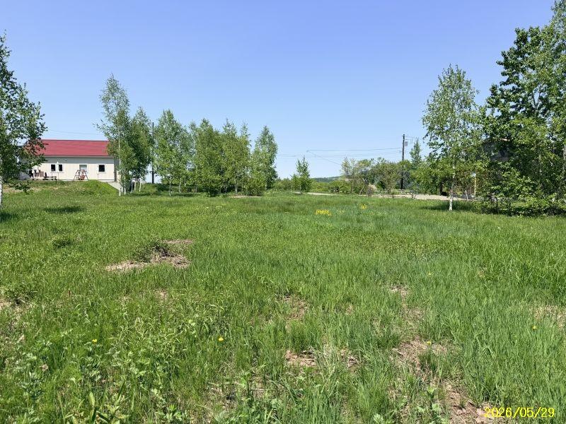 Land in Bieigenya, Biei – photo 20 of 28 – Biei, Daisetsuzan Foothills, Hokkaido, Japan