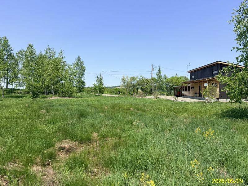 Land in Bieigenya, Biei – photo 21 of 28 – Biei, Daisetsuzan Foothills, Hokkaido, Japan
