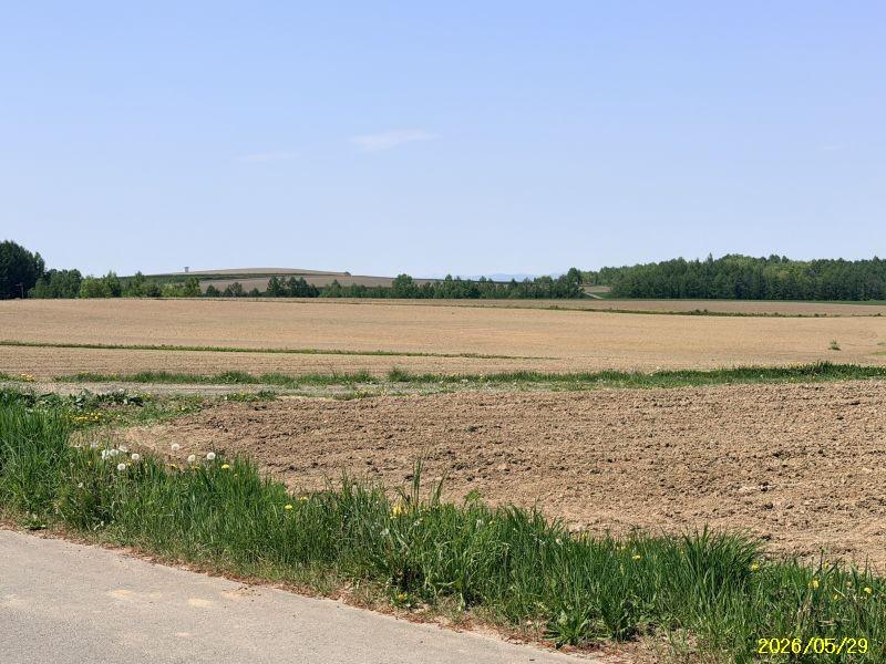 Land in Bieigenya, Biei – photo 26 of 28 – Biei, Daisetsuzan Foothills, Hokkaido, Japan