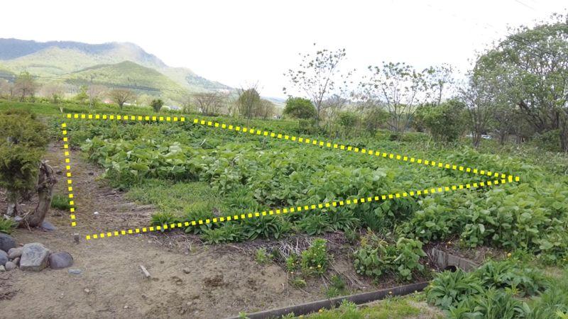 Land in Central, Aibetsu – Aibetsu, Daisetsuzan Foothills, Hokkaido, Japan