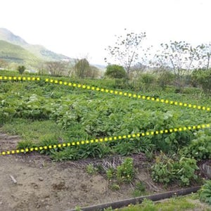 Land in Central, Aibetsu