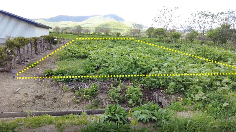 Land in Central, Aibetsu – photo 5 of 13 – Aibetsu, Daisetsuzan Foothills, Hokkaido, Japan