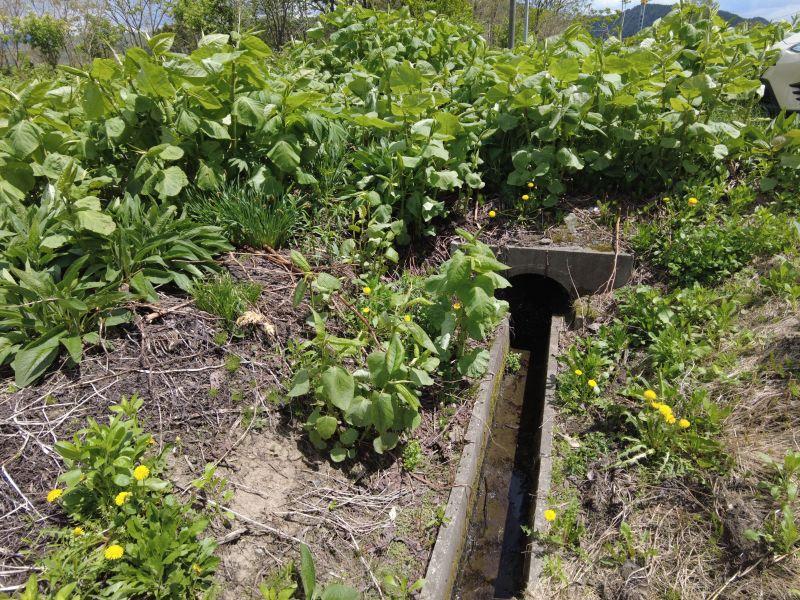 Land in Central, Aibetsu – photo 10 of 13 – Aibetsu, Daisetsuzan Foothills, Hokkaido, Japan