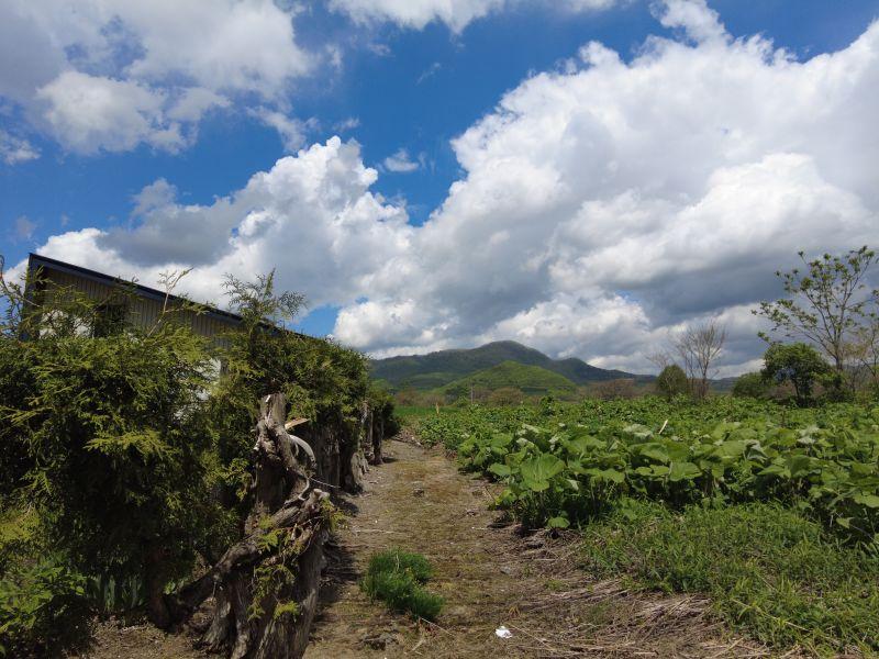 Land in Central, Aibetsu – photo 12 of 13 – Aibetsu, Daisetsuzan Foothills, Hokkaido, Japan