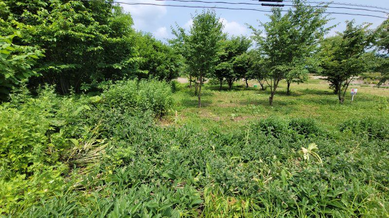 Land in Central, Aibetsu – photo 6 of 12 – Aibetsu, Daisetsuzan Foothills, Hokkaido, Japan
