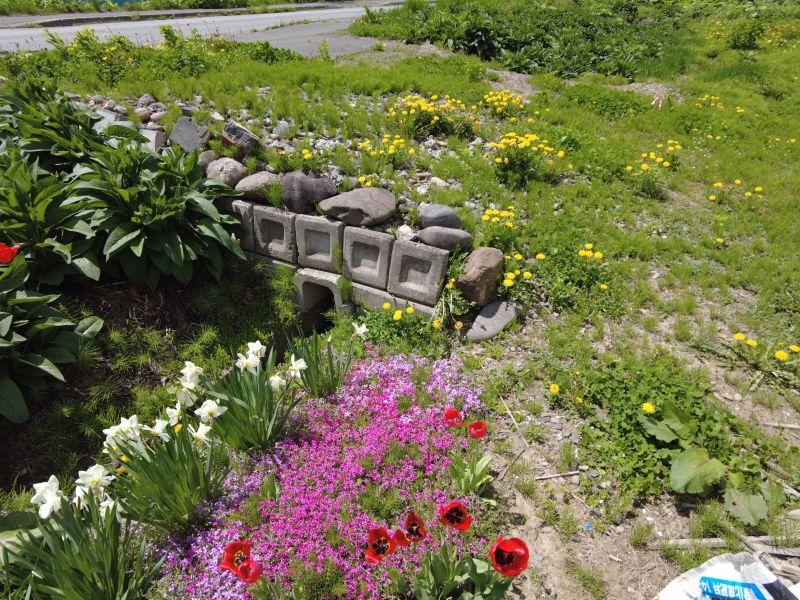 Land in Central, Aibetsu – photo 7 of 12 – Aibetsu, Daisetsuzan Foothills, Hokkaido, Japan