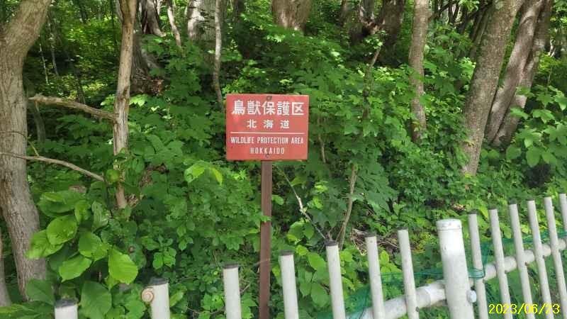 Land in Etanbetsucho, Asahikawa – photo 5 of 11 – Asahikawa, Asahikawa, Hokkaido, Japan