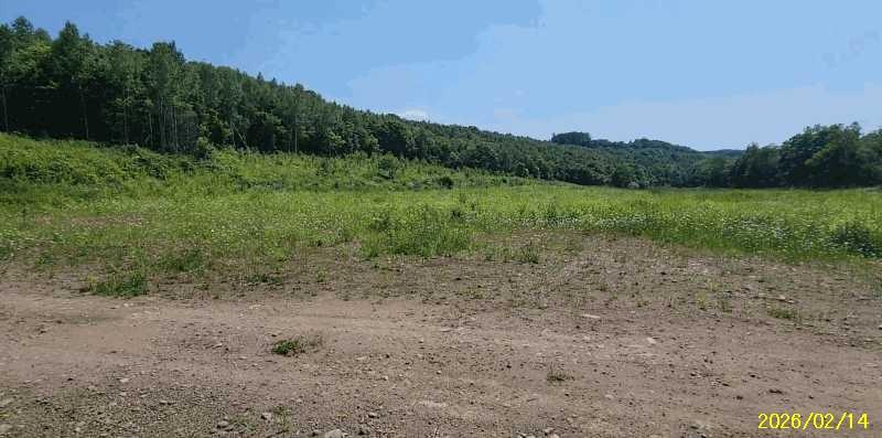 Land in Goryo, Biei – photo 5 of 15 – Biei, Daisetsuzan Foothills, Hokkaido, Japan