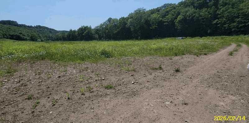 Land in Goryo, Biei – photo 6 of 15 – Biei, Daisetsuzan Foothills, Hokkaido, Japan