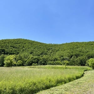 Land in Higashi 12 Sen Kita, Kamifurano