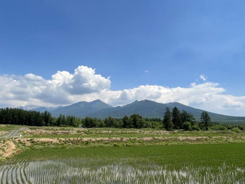 Land in Higashi 12 Sen Kita, Kamifurano – photo 4 of 12 – Kamifurano, Furano Basin, Hokkaido, Japan