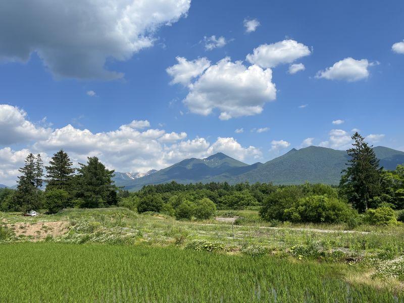 Land in Higashi 12 Sen Kita, Kamifurano – photo 6 of 12 – Kamifurano, Furano Basin, Hokkaido, Japan