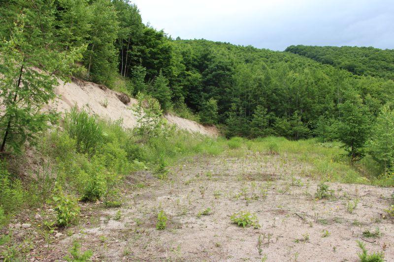 Land in Higashi 12 Sen Kita, Kamifurano – photo 10 of 12 – Kamifurano, Furano Basin, Hokkaido, Japan