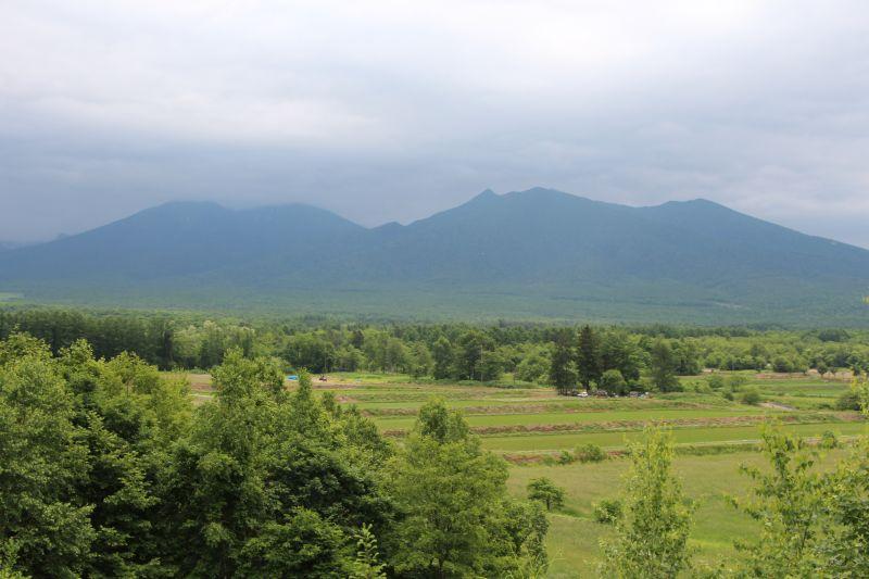 Land in Higashi 12 Sen Kita, Kamifurano – photo 11 of 12 – Kamifurano, Furano Basin, Hokkaido, Japan