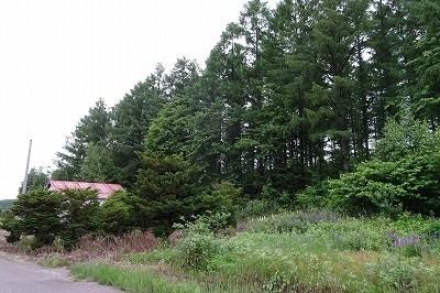 Land in Higashi, Higashikagura – photo 5 of 10 – Higashikagura, Daisetsuzan Foothills, Hokkaido, Japan