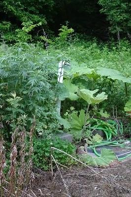Land in Higashi, Higashikagura – photo 7 of 10 – Higashikagura, Daisetsuzan Foothills, Hokkaido, Japan