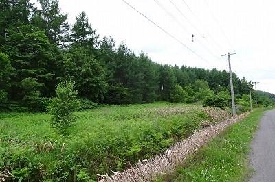 Land in Higashi, Higashikagura – Higashikagura, Daisetsuzan Foothills, Hokkaido, Japan