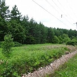 Land in Higashi, Higashikagura