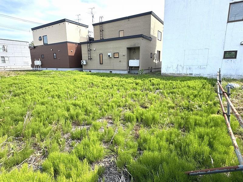 Land in Higashi, Asahikawa – photo 9 of 10 – Asahikawa, Asahikawa, Hokkaido, Japan