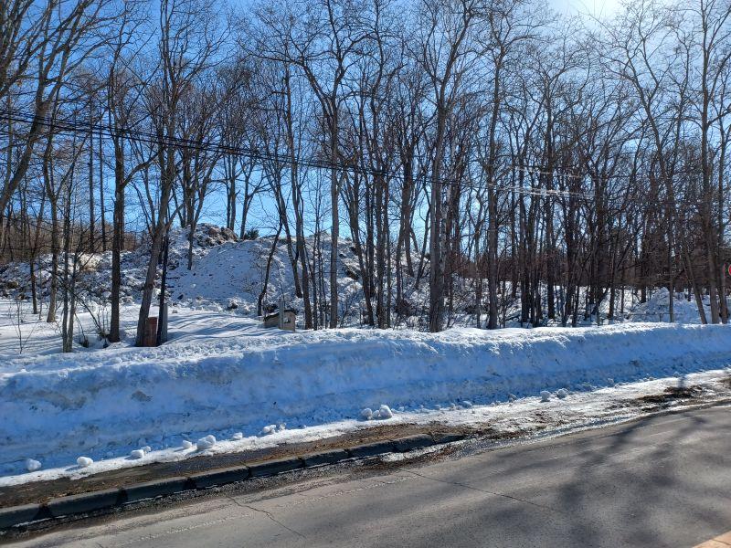 Land in Higashiasahikawachō, Asahikawa – photo 3 of 5 – Asahikawa, Asahikawa, Hokkaido, Japan