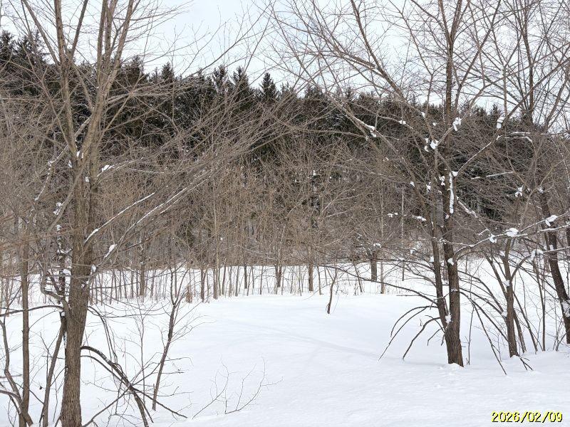 Land in Yachiyogaoka, Higashikagura – Higashikagura, Hokkaido, Hokkaido, Japan