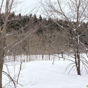 Land in Yachiyogaoka, Higashikagura