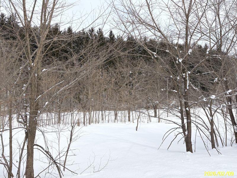 Land in Yachiyogaoka, Higashikagura – photo 2 of 11 – Higashikagura, Hokkaido, Hokkaido, Japan