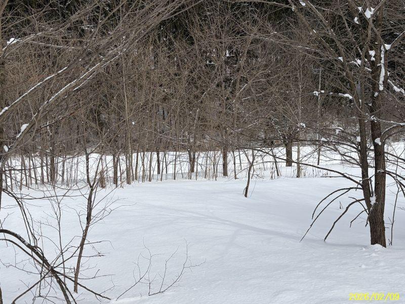 Land in Yachiyogaoka, Higashikagura – photo 3 of 11 – Higashikagura, Hokkaido, Hokkaido, Japan